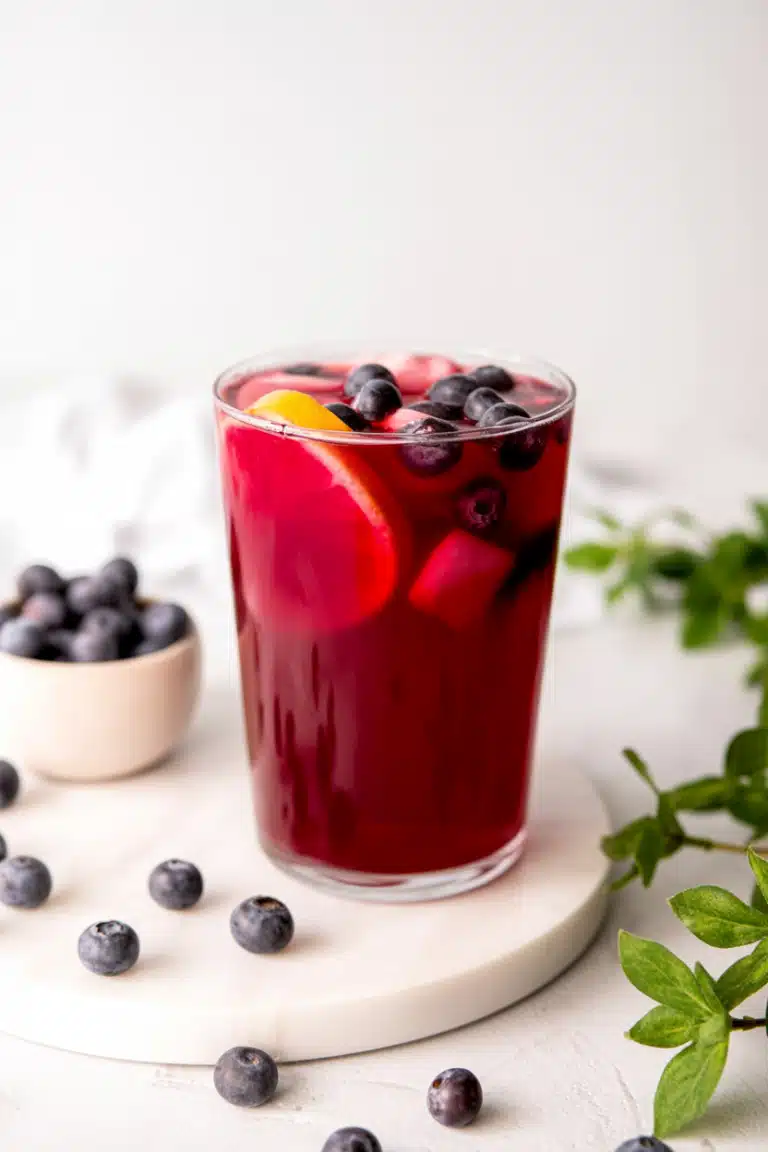 Close-up of blueberry lemonade recipe with lemon slices and blueberries